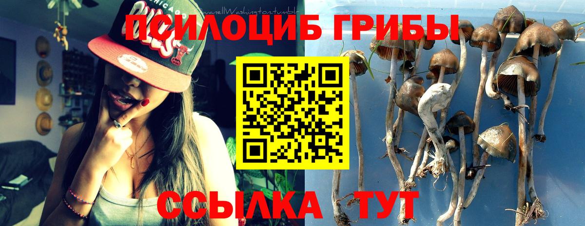 Галлюциногенные грибы мицелий  где найти наркотики  Ахтубинск  Вход с VPN 